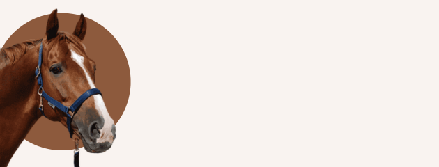 eTrade promotion poster