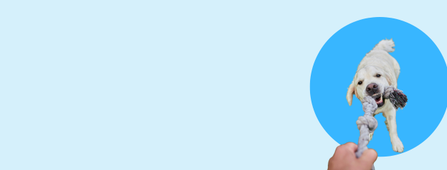 eTrade promotion poster