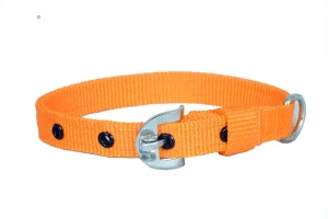 PP Tape Dog Collar